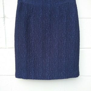 Ann Taylor skirt